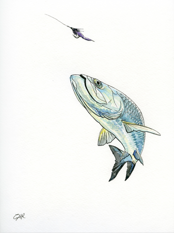 Watercolor Tarpon - Print