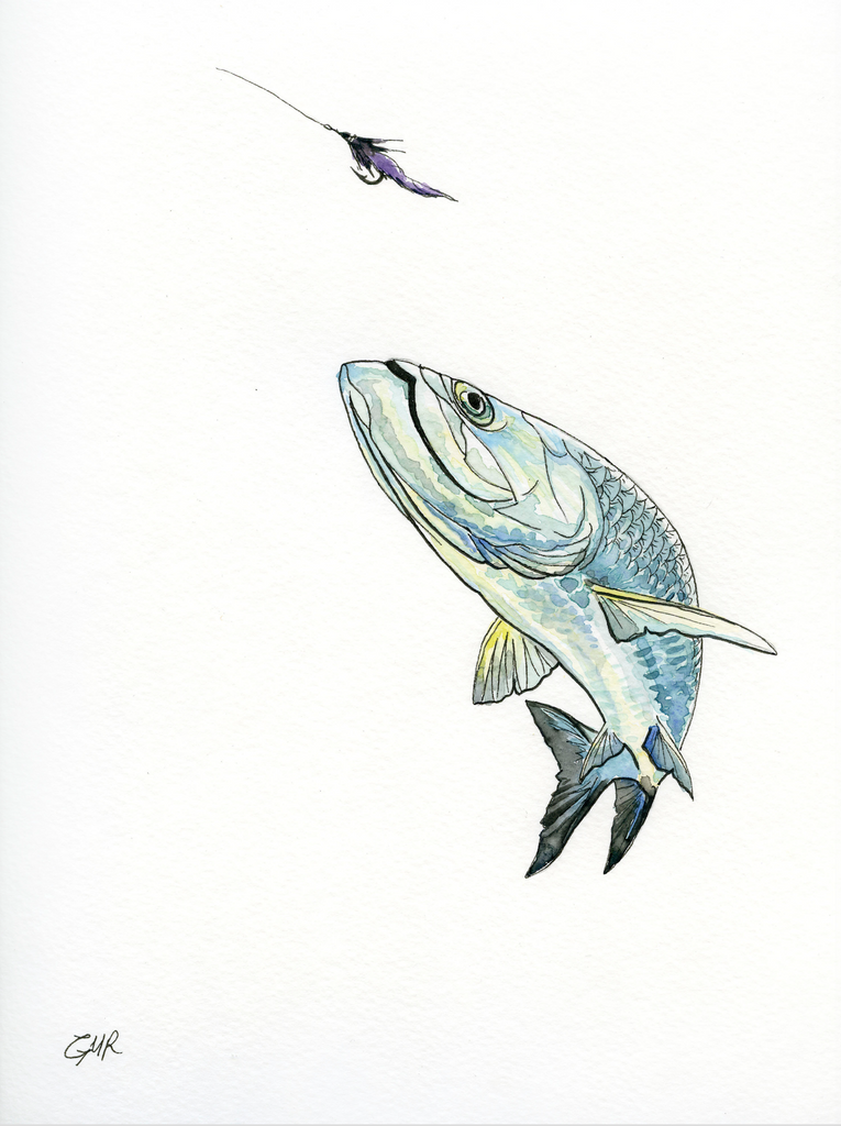 Watercolor Tarpon - Print