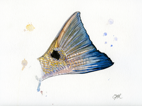 Watercolor Tail - Print