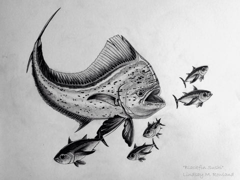 "Blackfin Sushi" Print