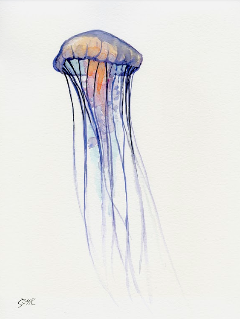 Jellyfish - Print