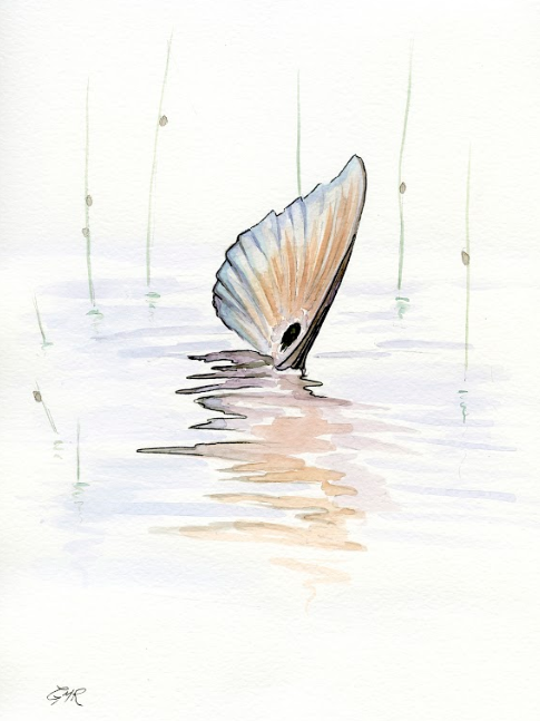 Tailing Redfish - Print